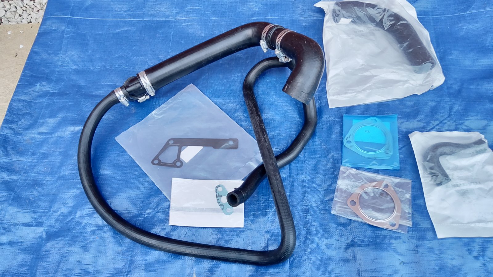 010 HOSE 1.jpg