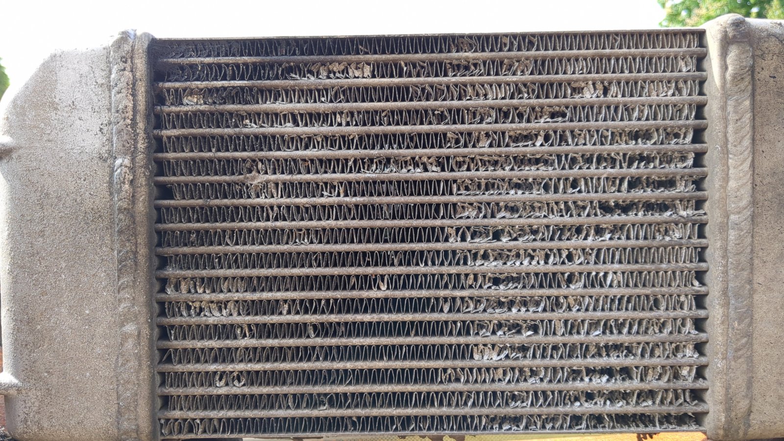 17168896133507829198103905018461.jpg