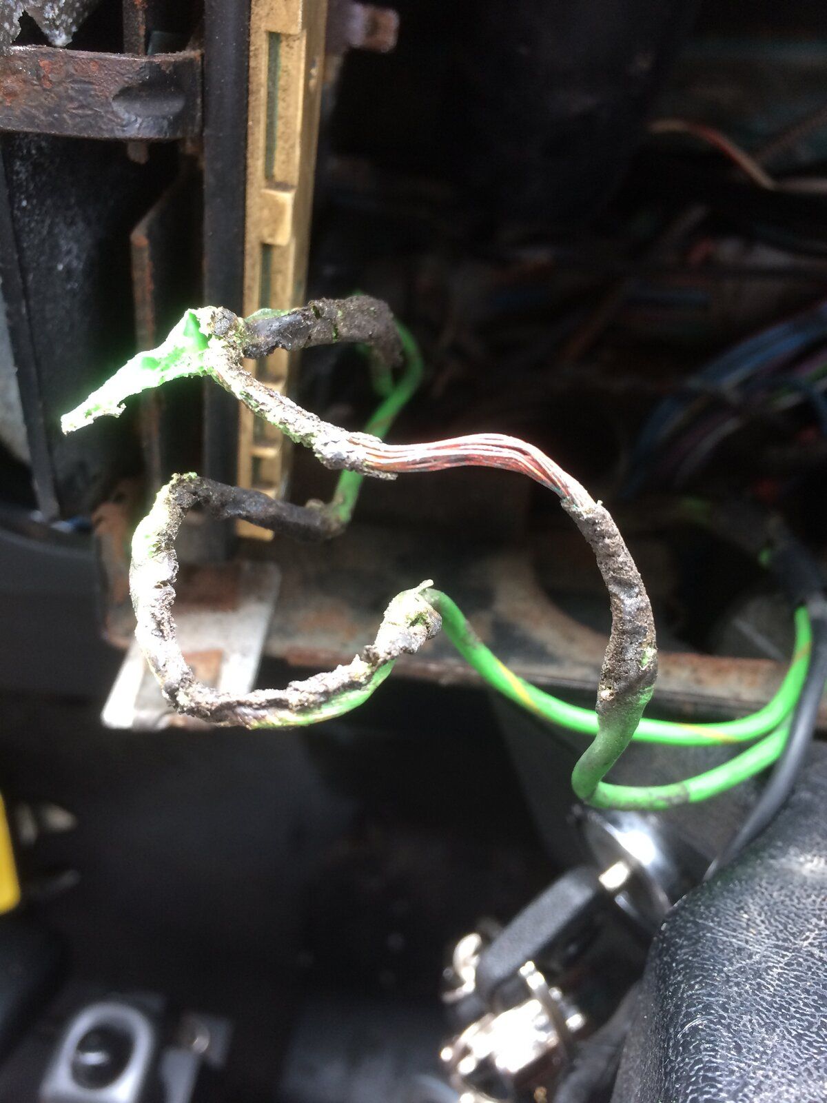 1996E185-BD05-4F74-9926-125DF27BF607.jpeg