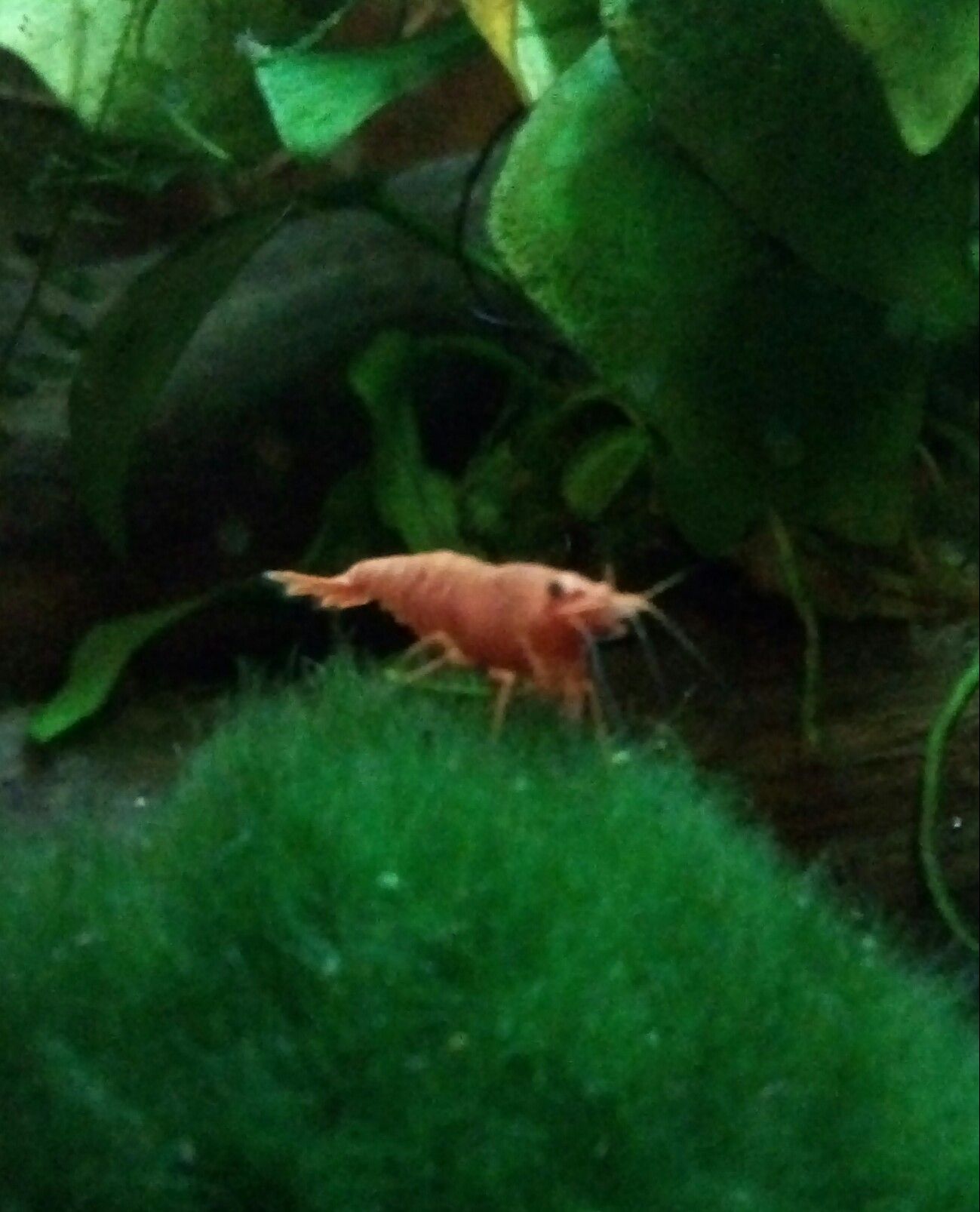 20160914_231203-1.jpg