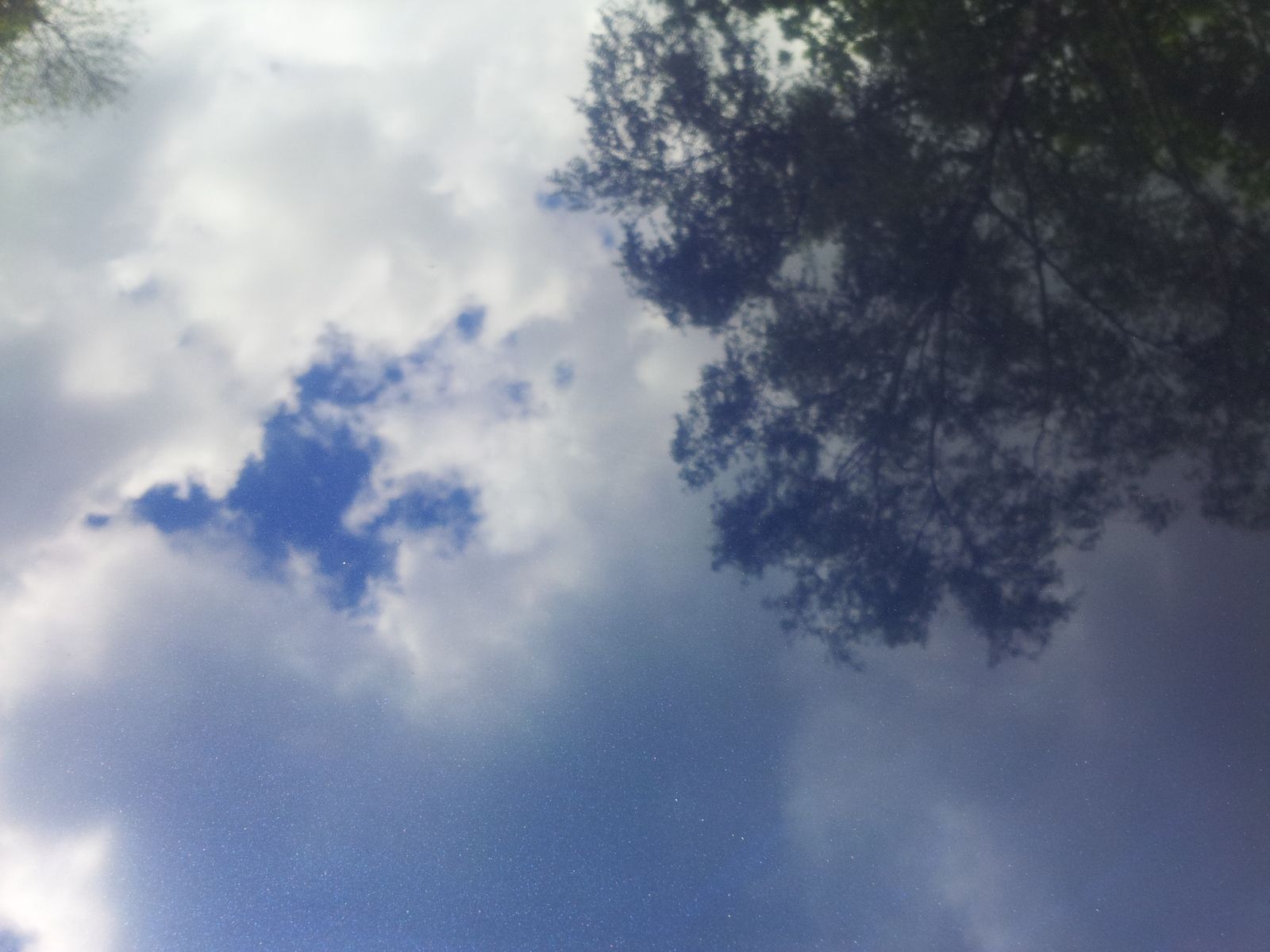 2017-05-20 11.46.13.jpg