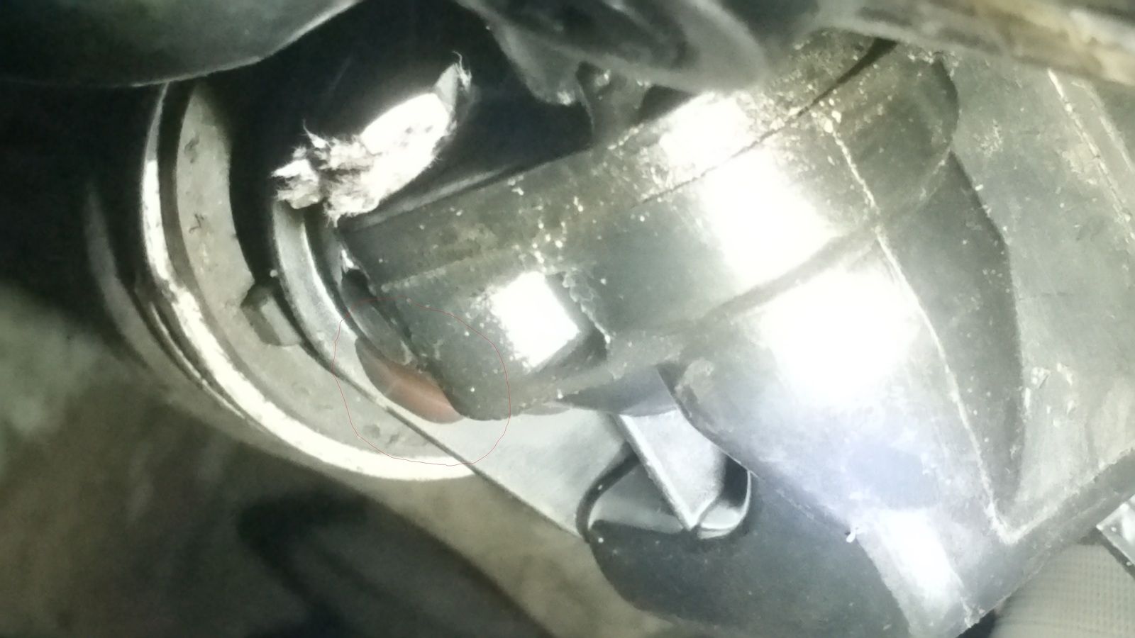 20180204_162136.jpg