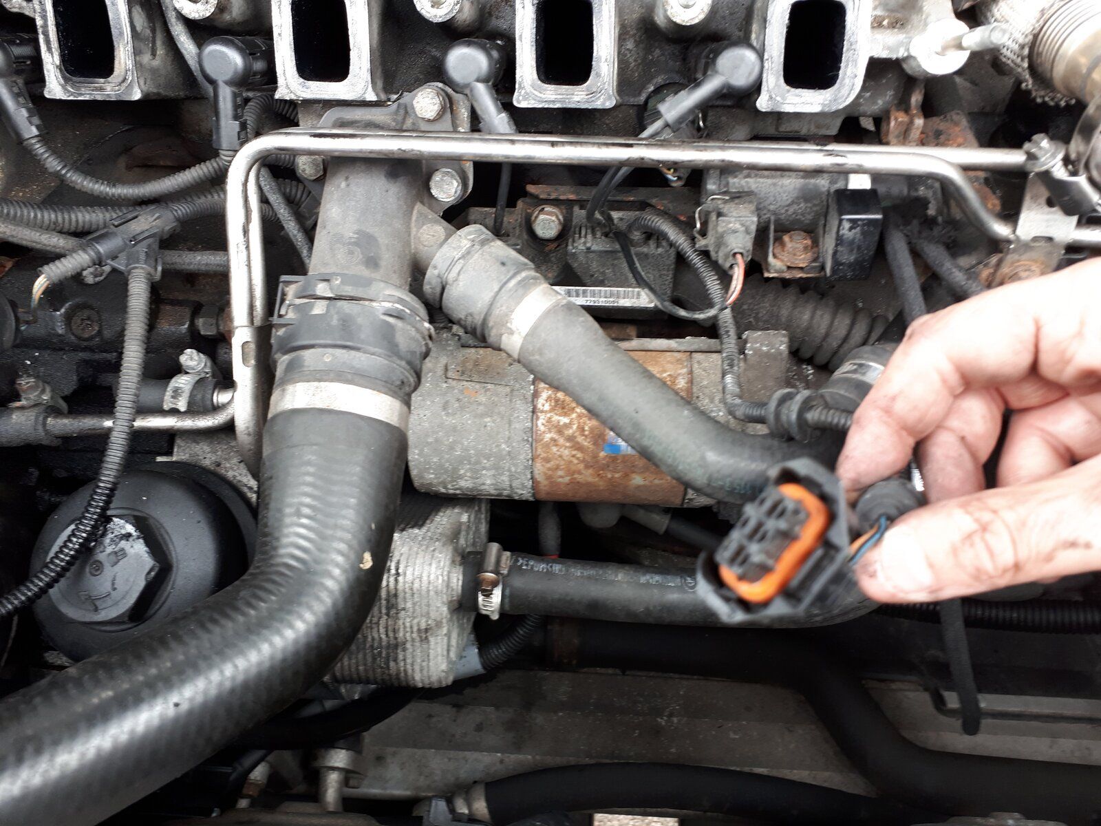 20180529_152543[1].jpg