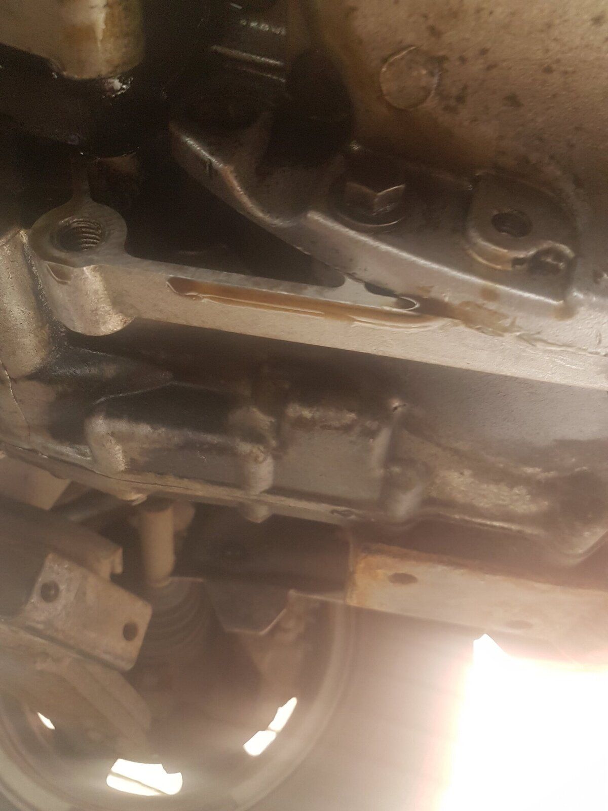 20180620_152957.jpg