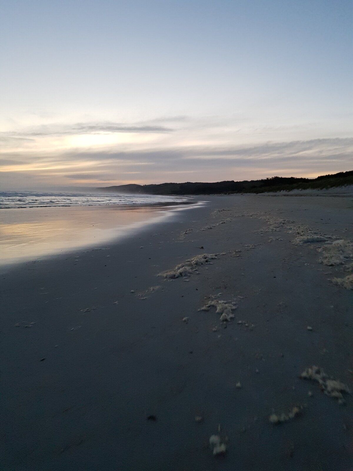 20181206_213717.jpg