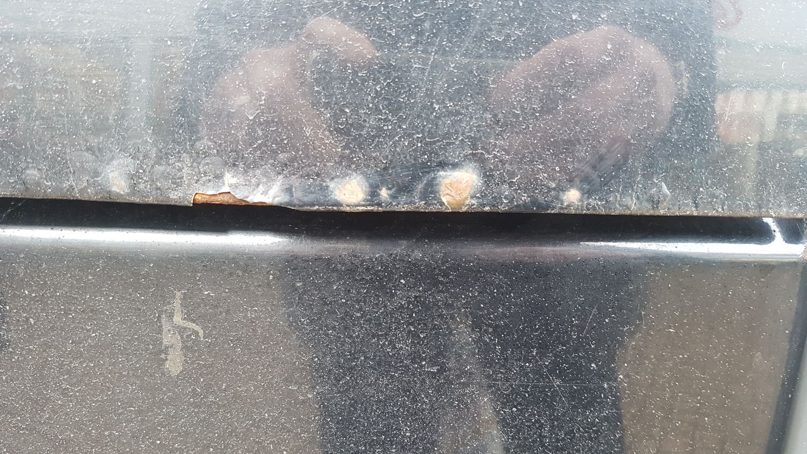 20190126_120758.jpg