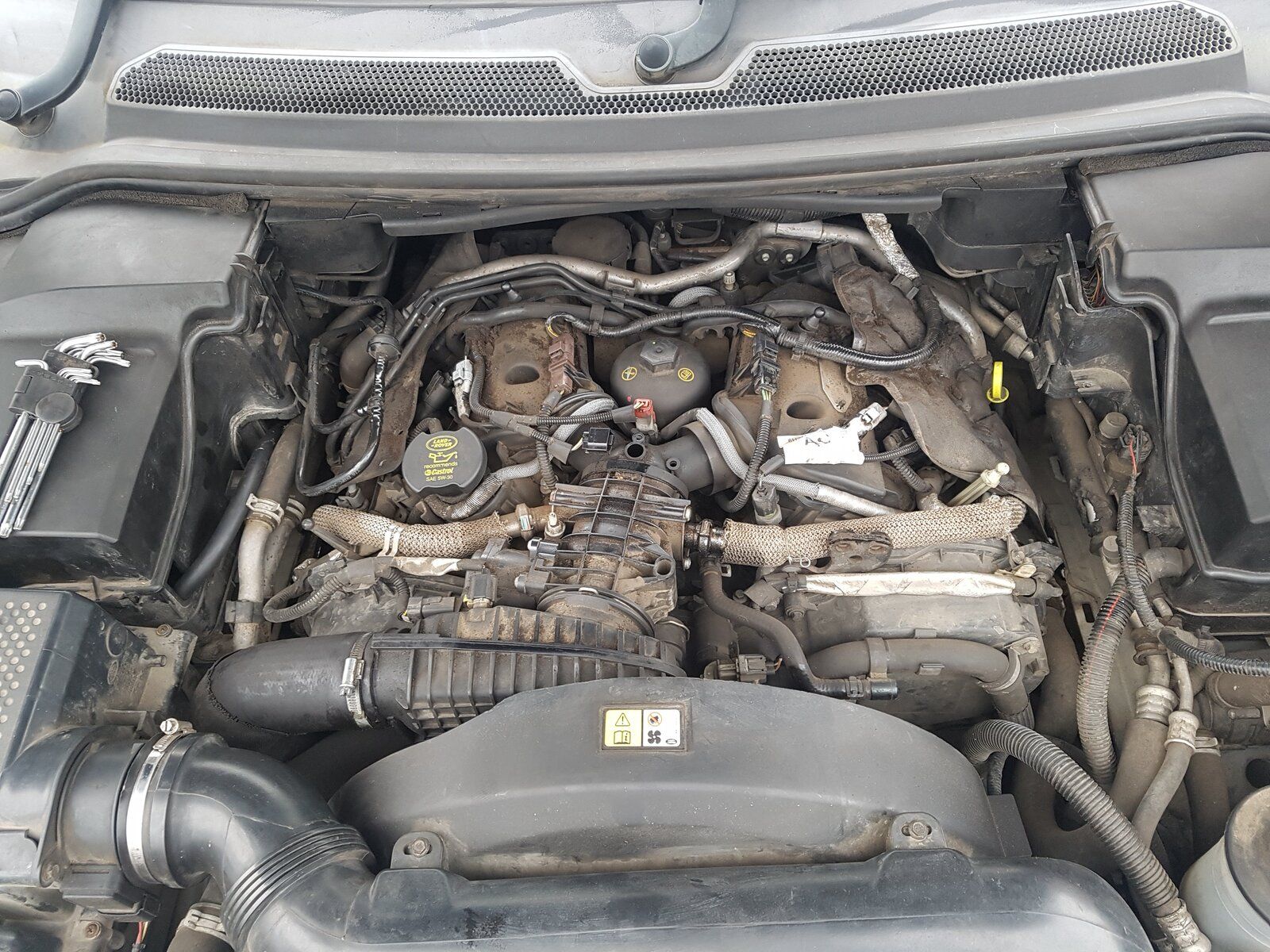 20190305_162118.jpg