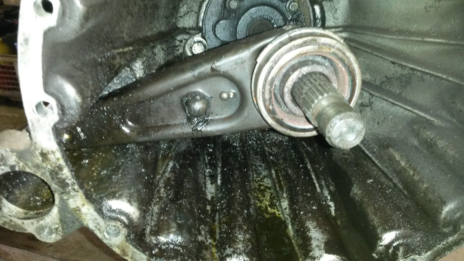 20190522_165021.jpg
