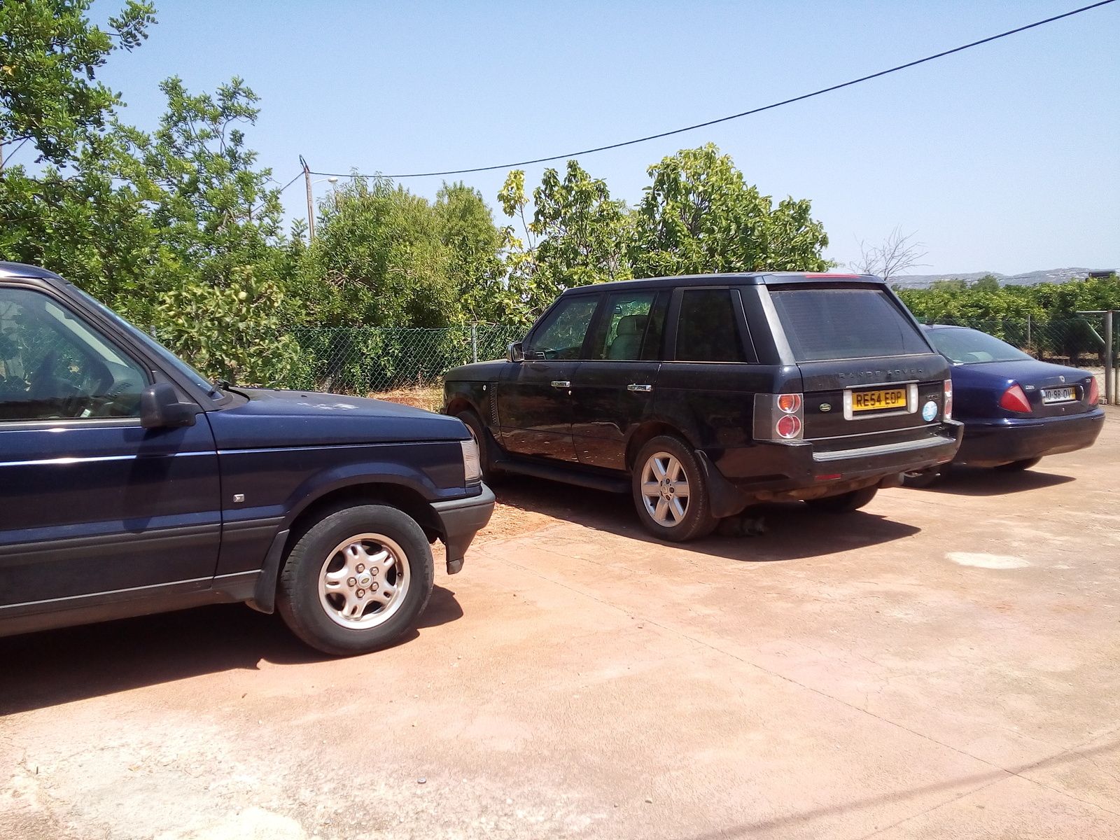 20190628_150043.jpg