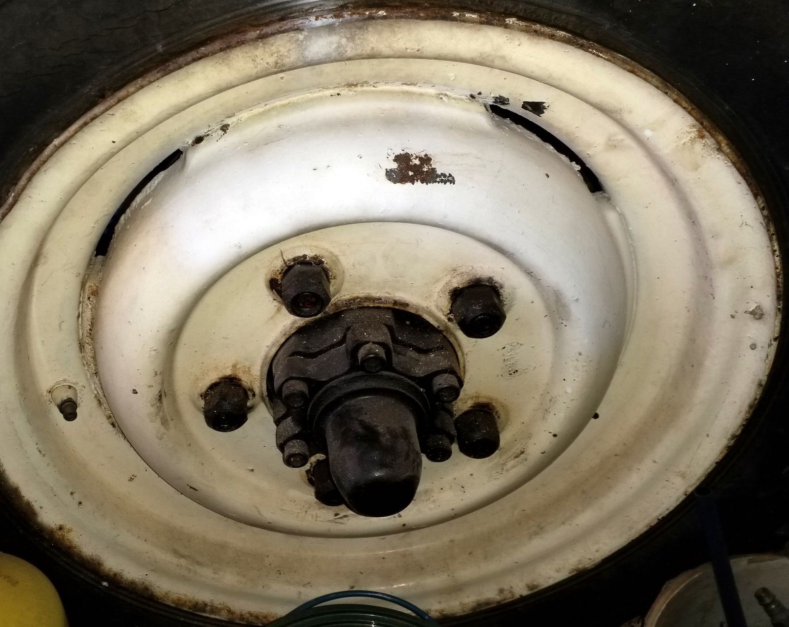 20190731_125957.jpg