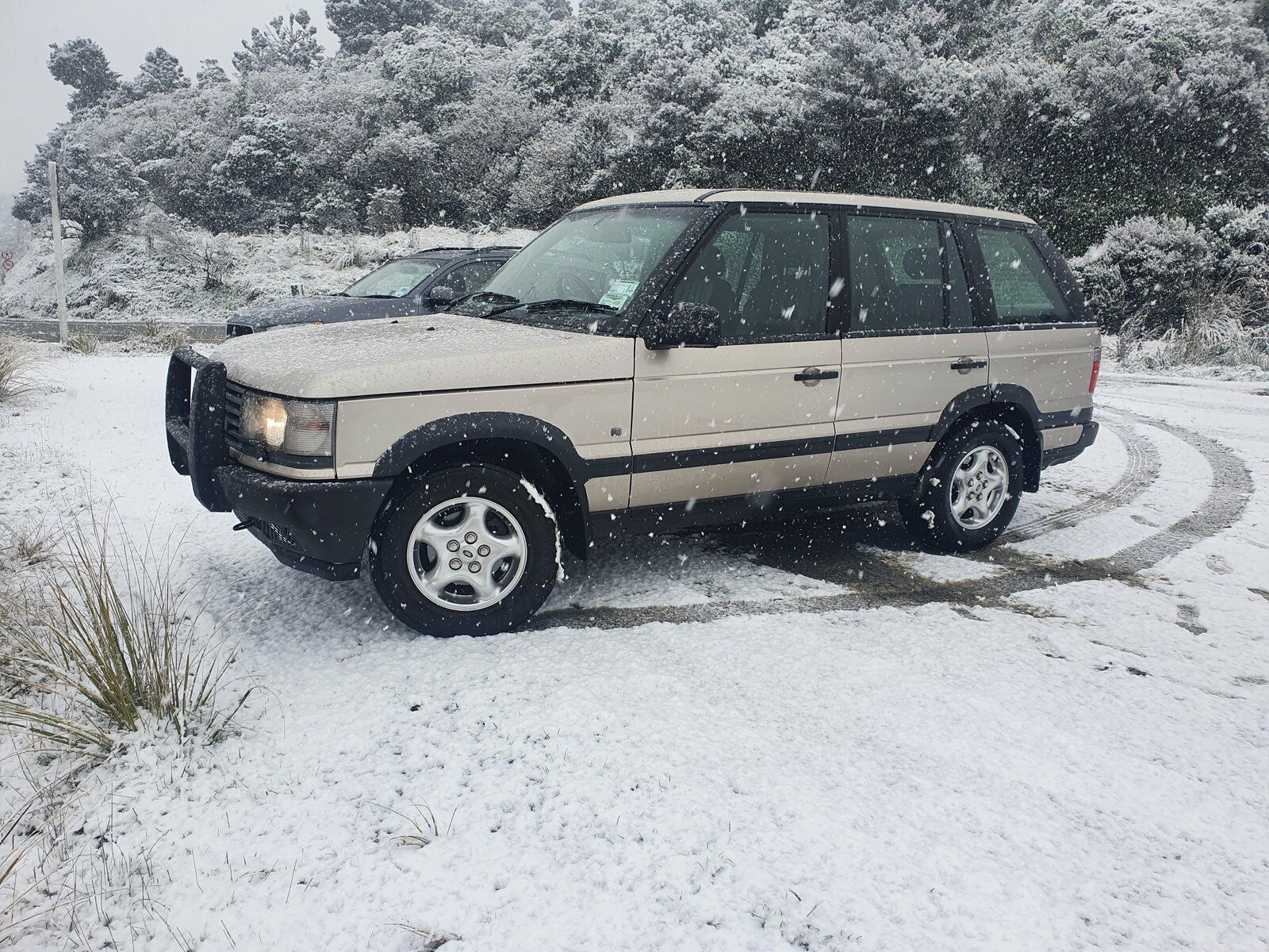 20200928_113127.jpg