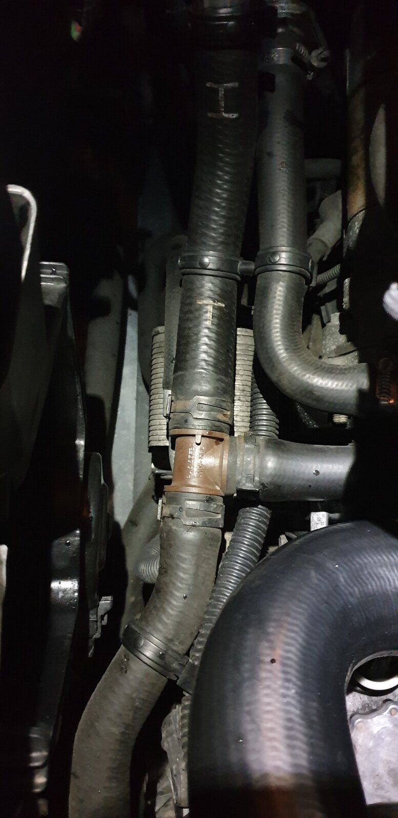20201007_215436.jpg