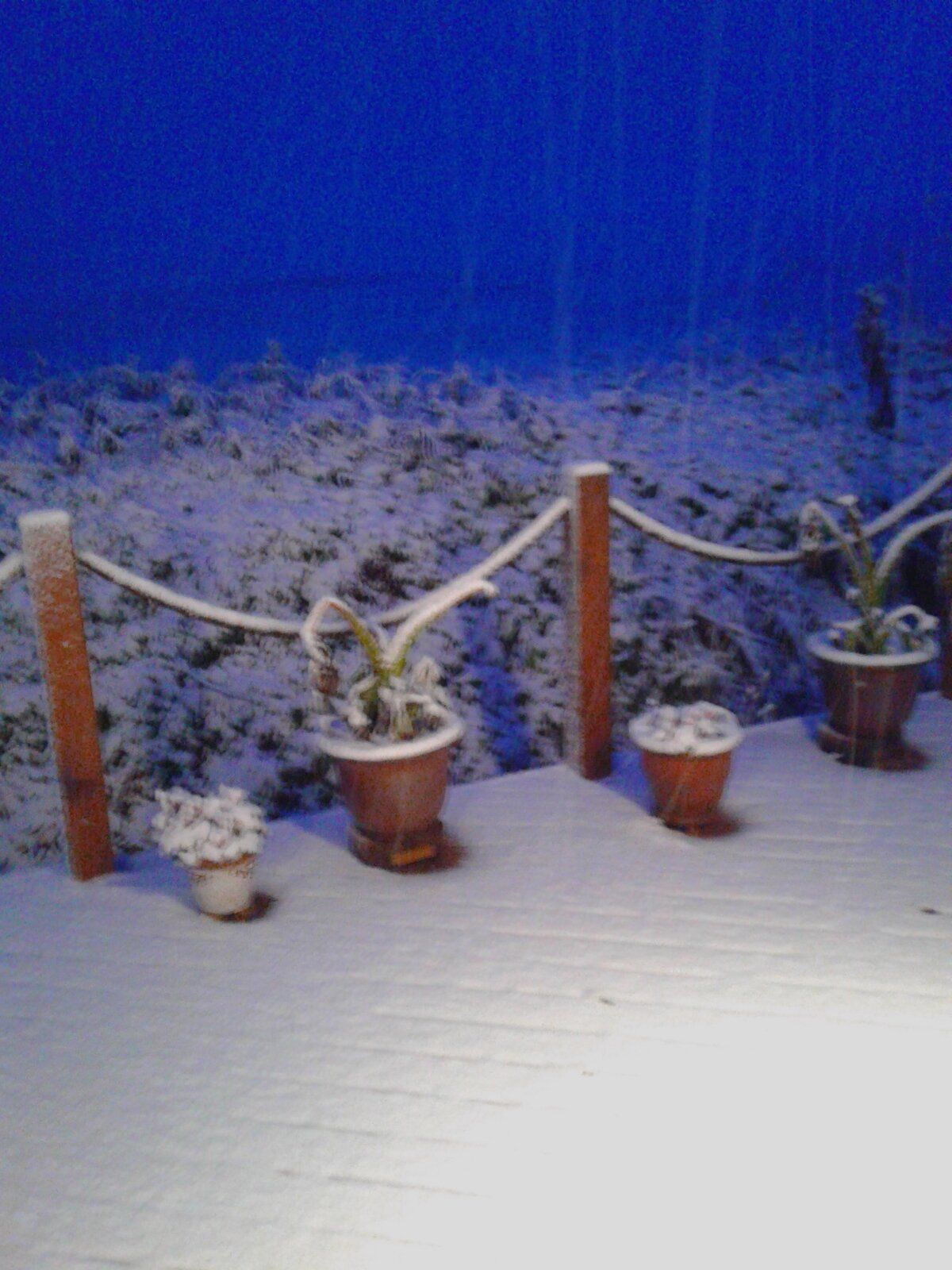 20201204_072215.jpg
