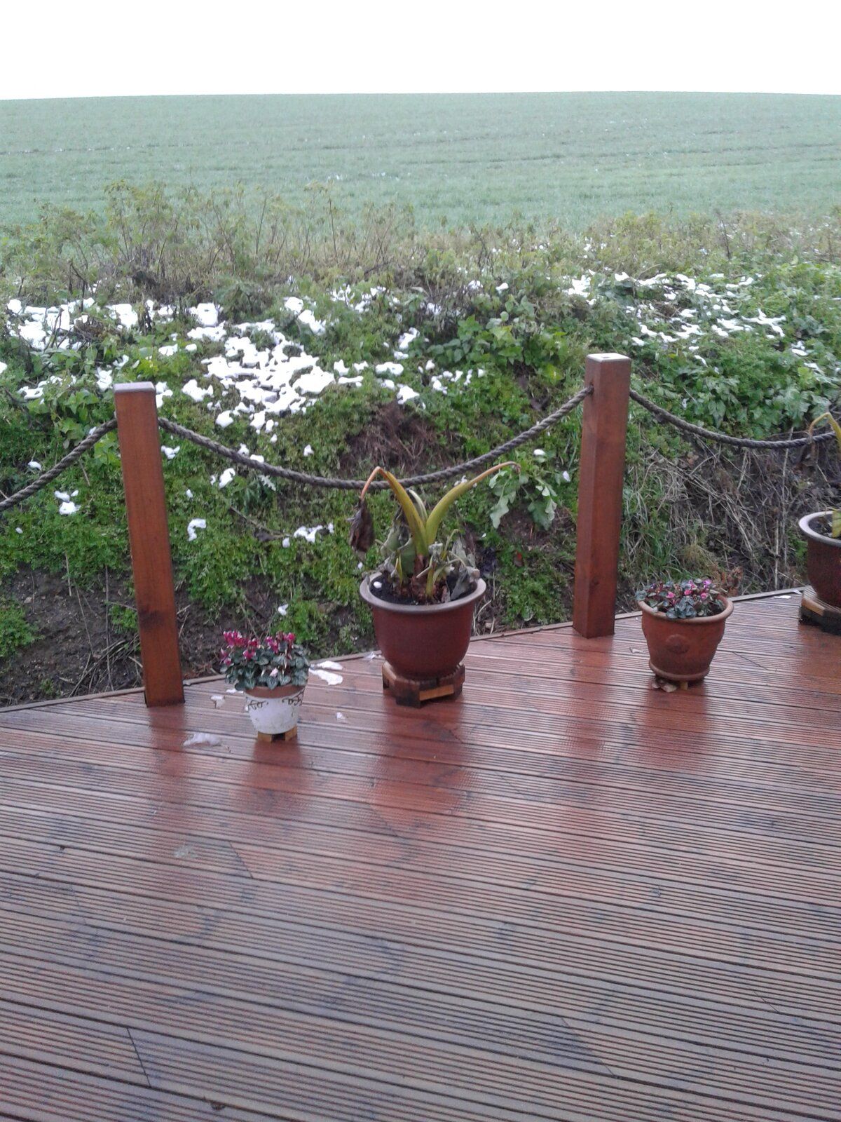 20201205_081228.jpg