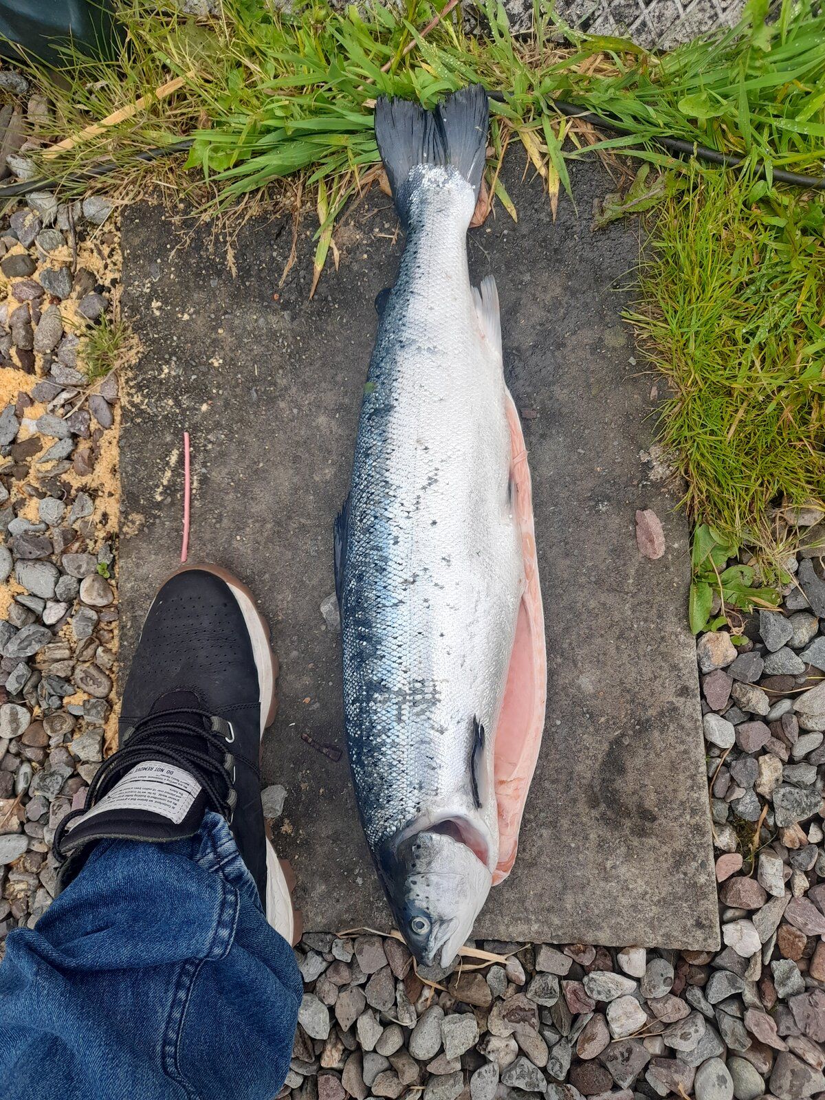 20220807_114814.jpg