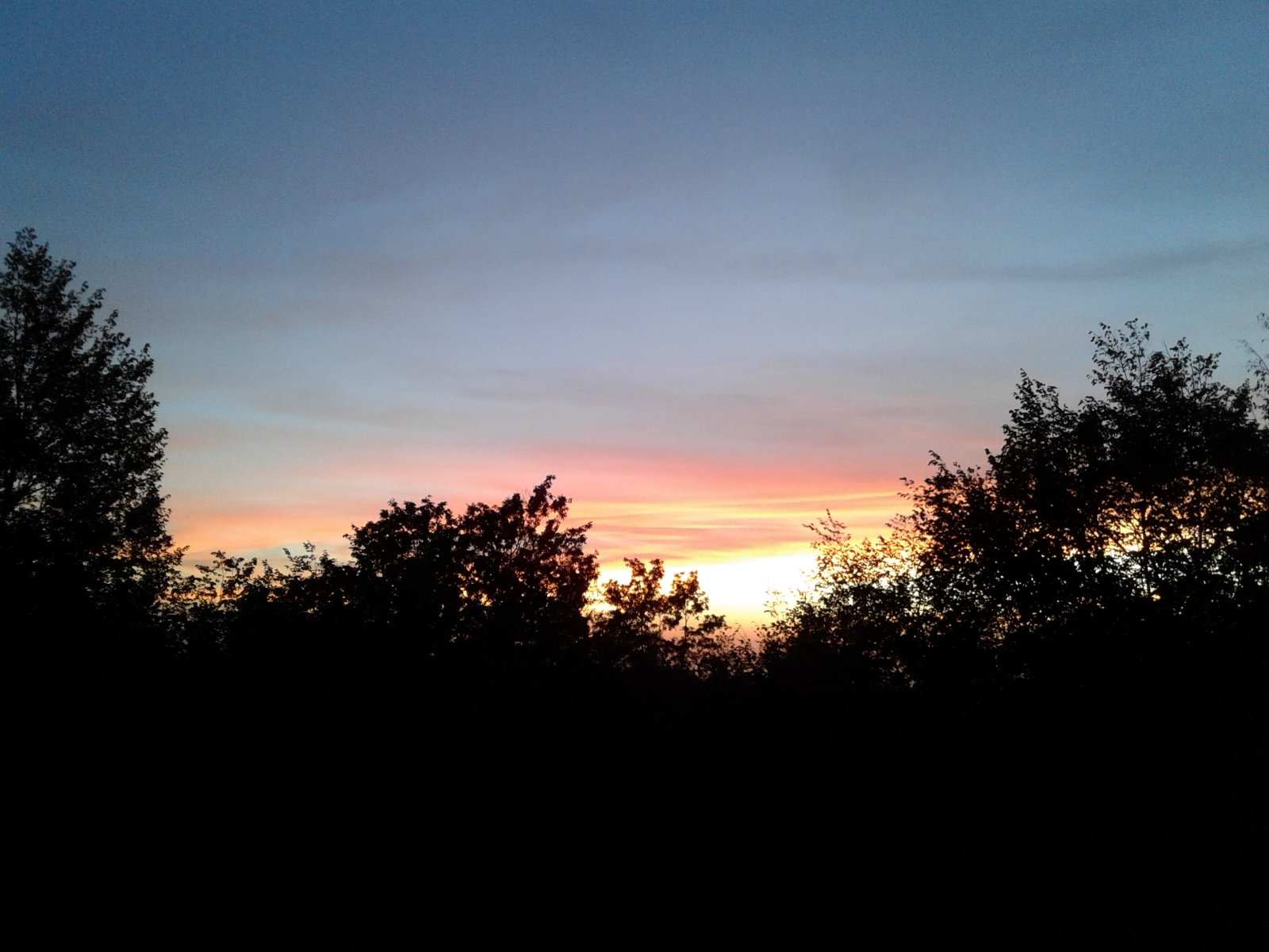 20231006_180730.jpg