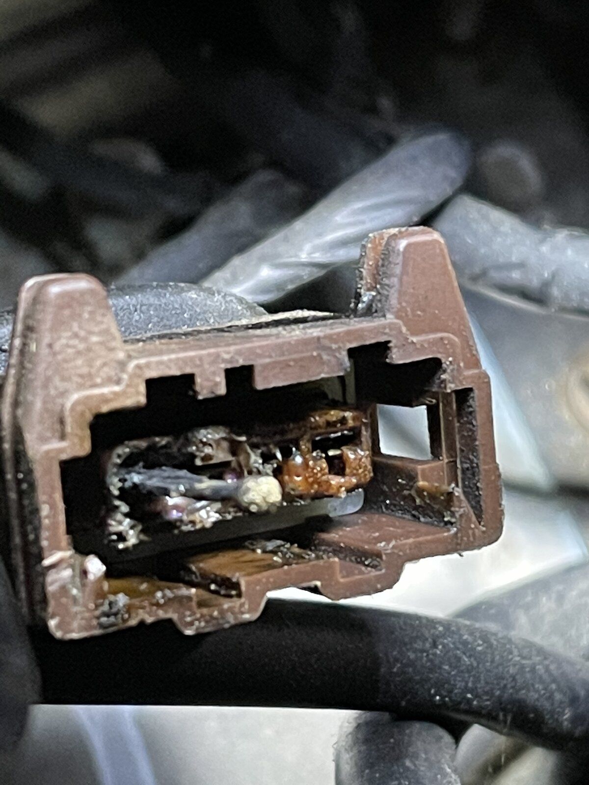 236769ED-D3D1-48C5-AD5B-E28720D79E8E.jpeg