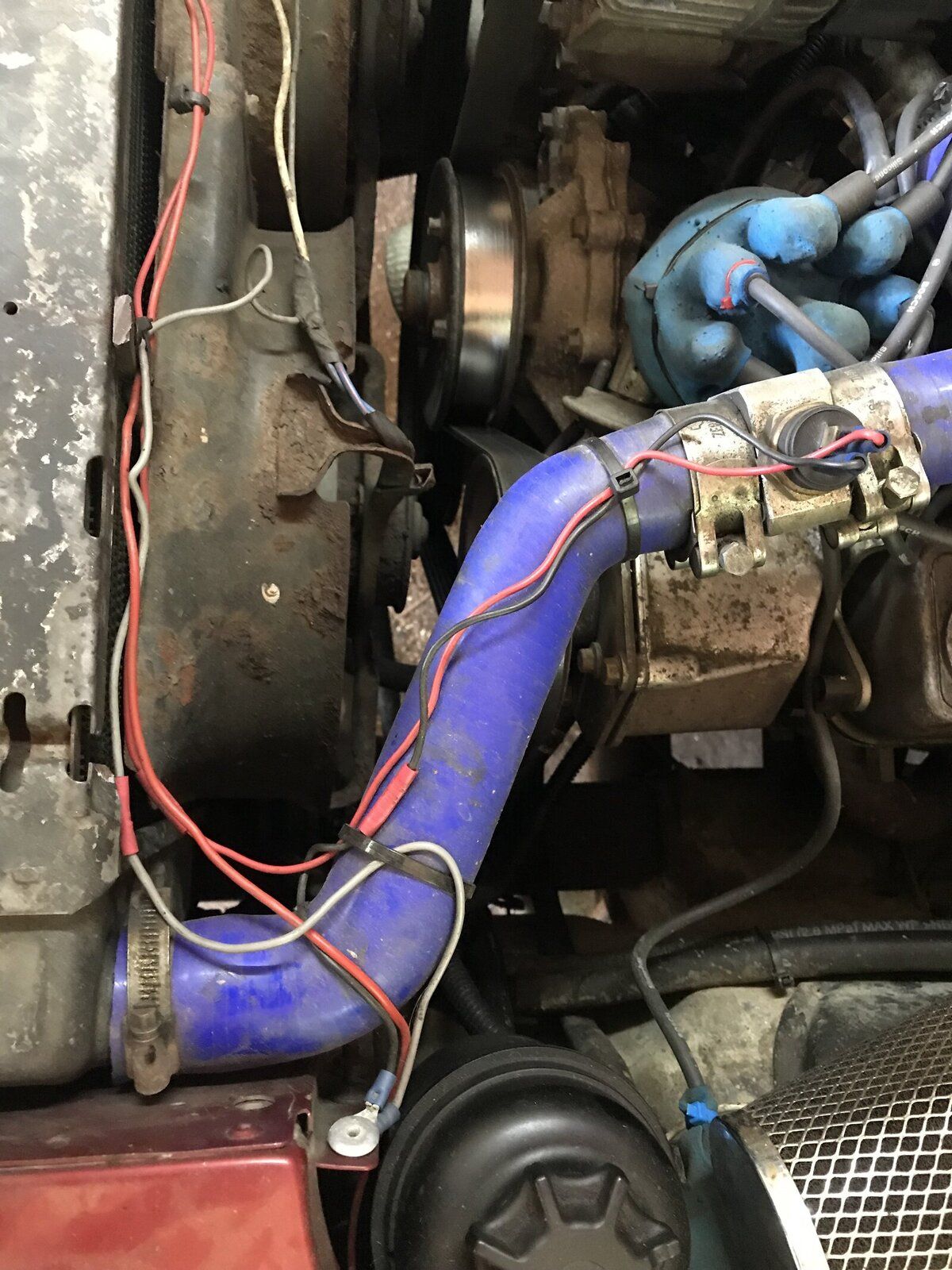 3874DAF3-4AB5-430B-84E6-4F4C7EED5941.jpeg