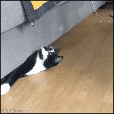 6d30e14e6cae921c63c1a17d53c80903.gif