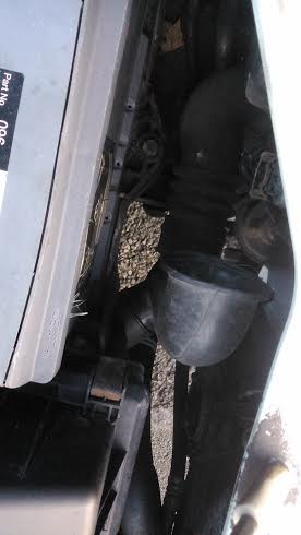 air intake 2.jpg