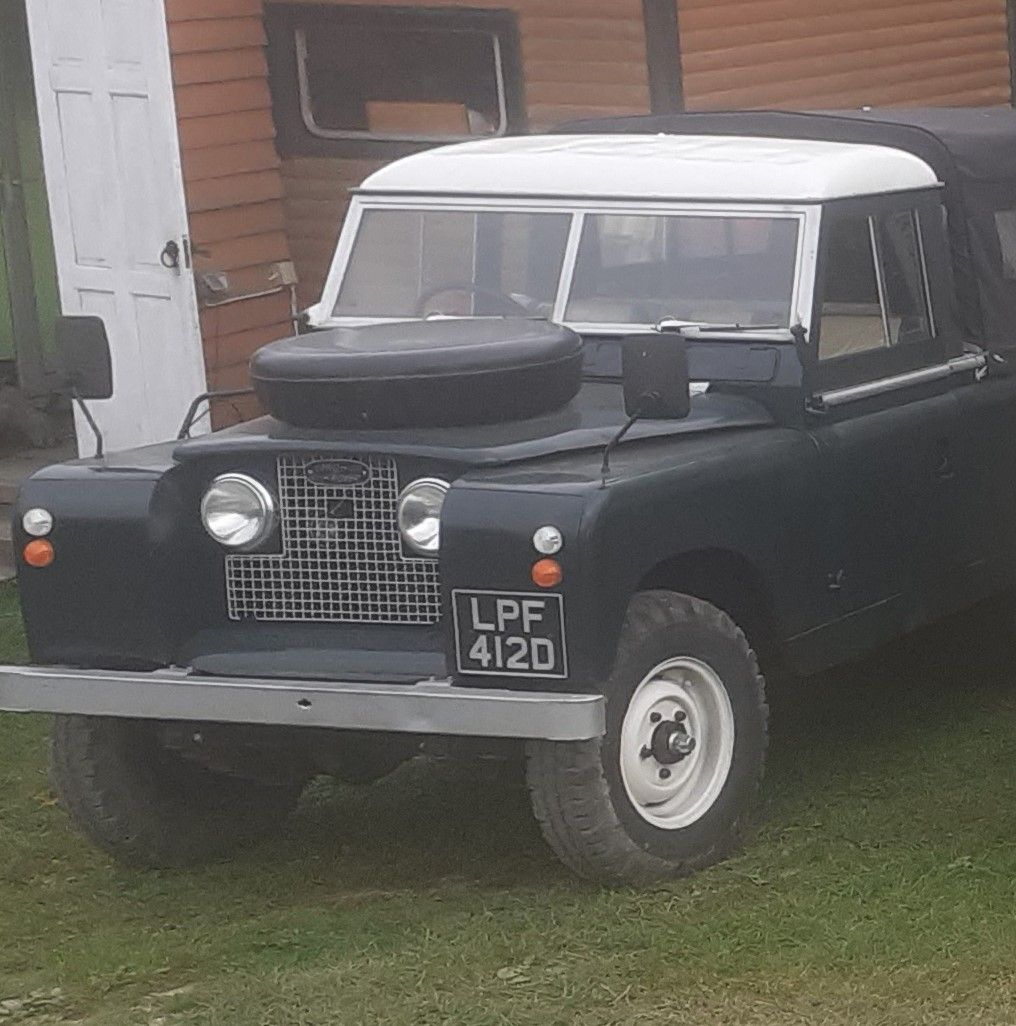 all landys (2).jpeg