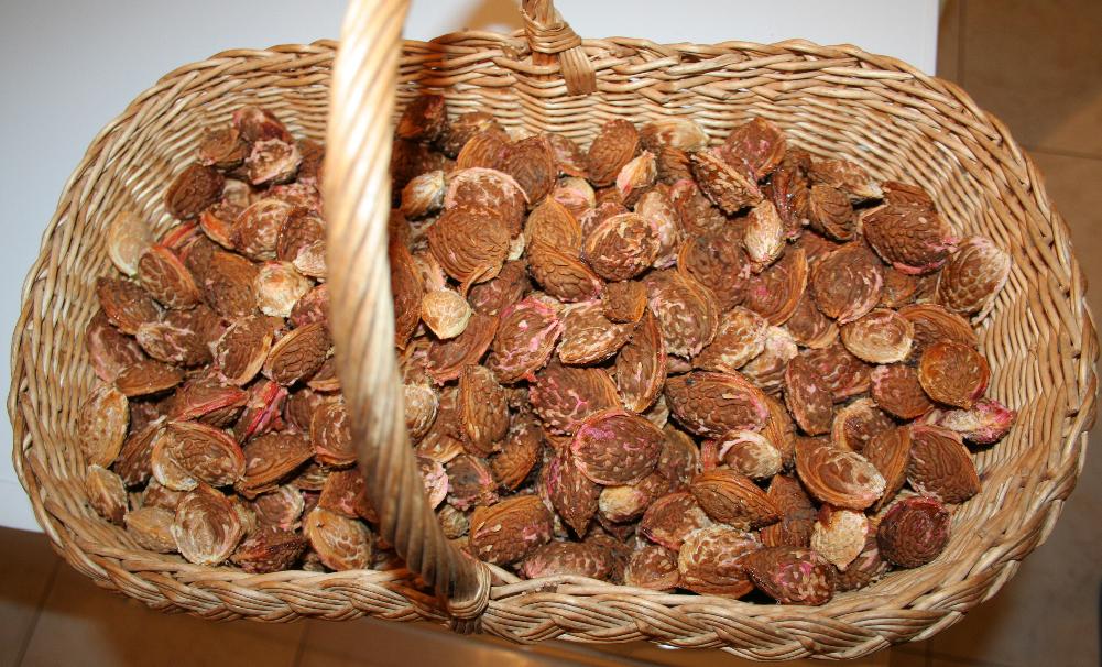 almondnuts.jpg