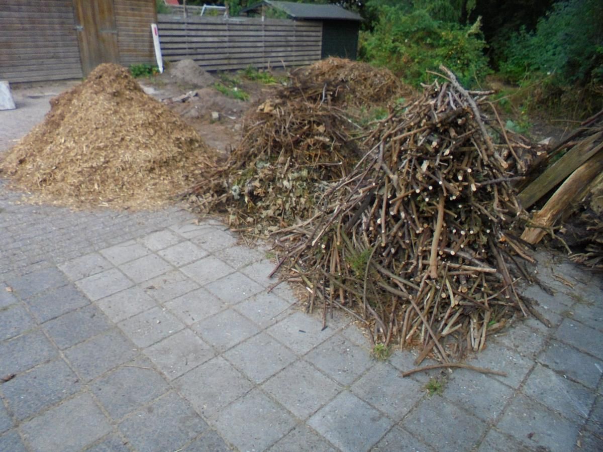 Back garden during cutting.jpg