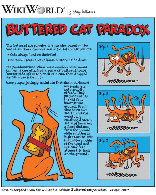 Buttered_cat_comic.jpg