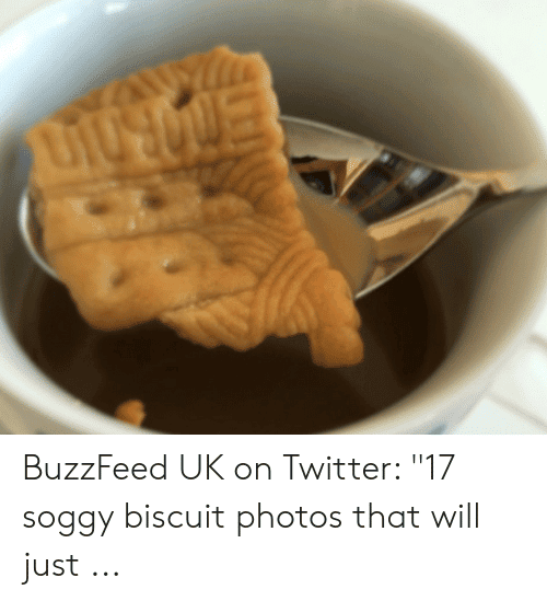 buzzfeed-uk-on-twitter-17-soggy-biscuit-photos-that-will-51547982.png