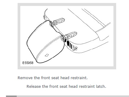 D3 headrest.jpg