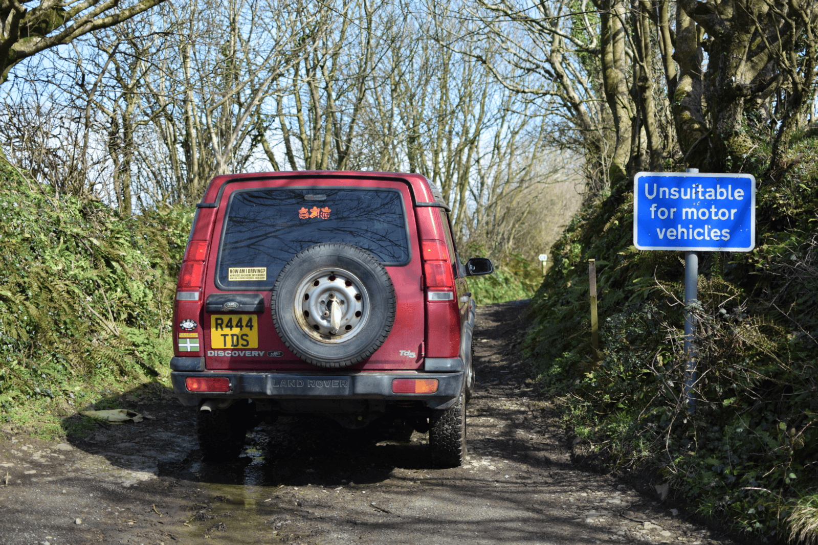 DSC_5549.png
