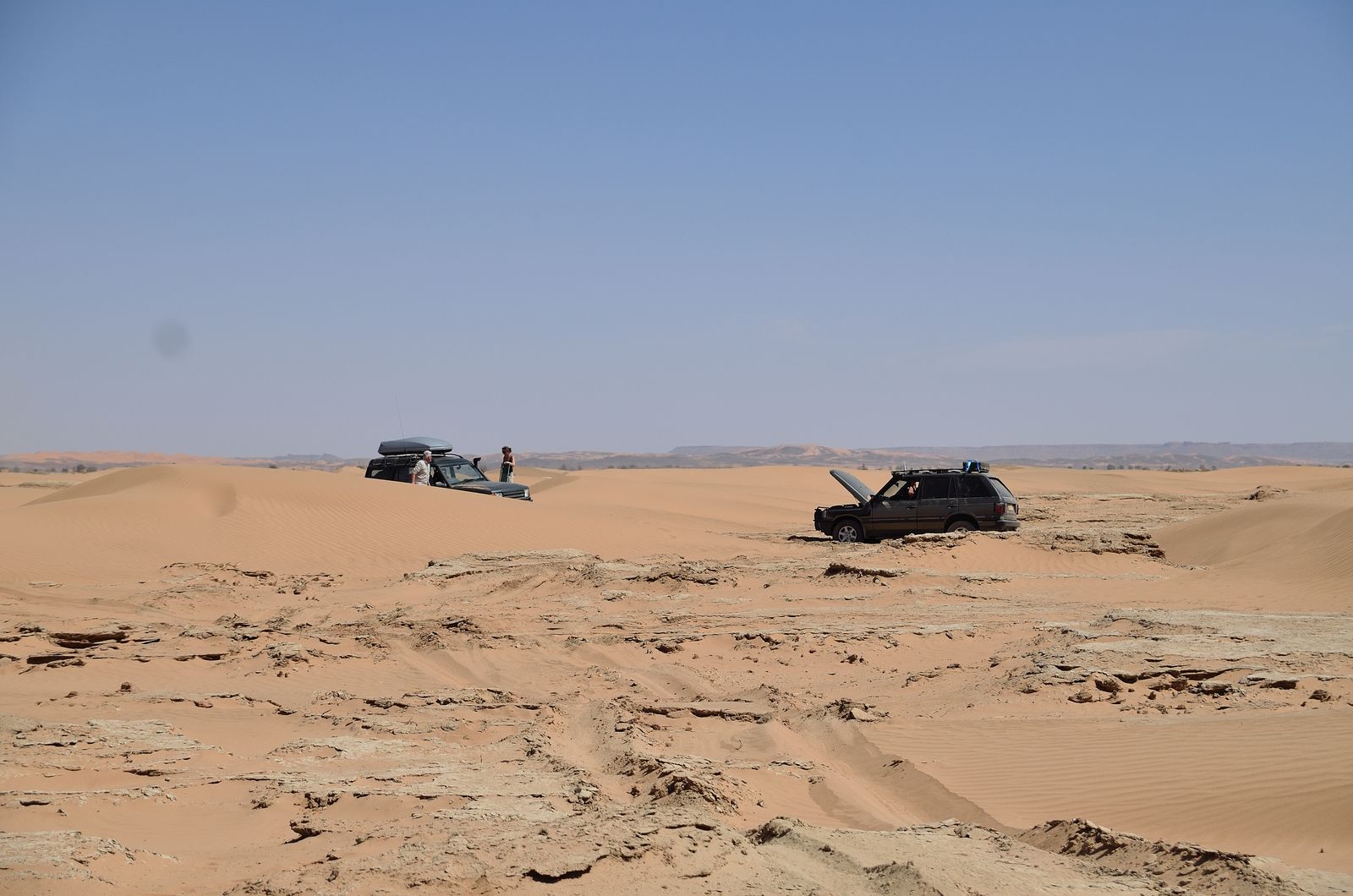 DSC_6558.JPG