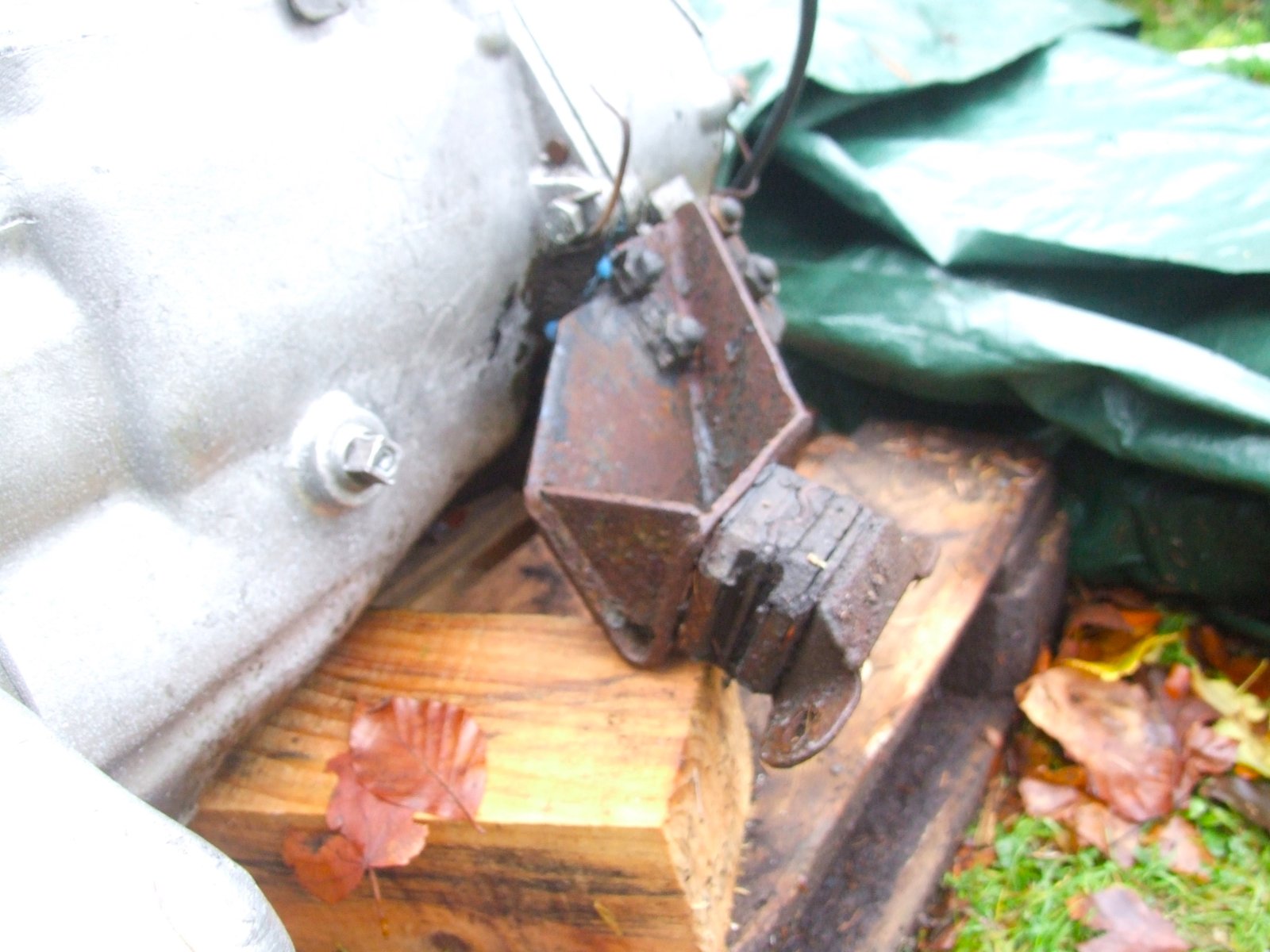 DSCF7357.2.JPG