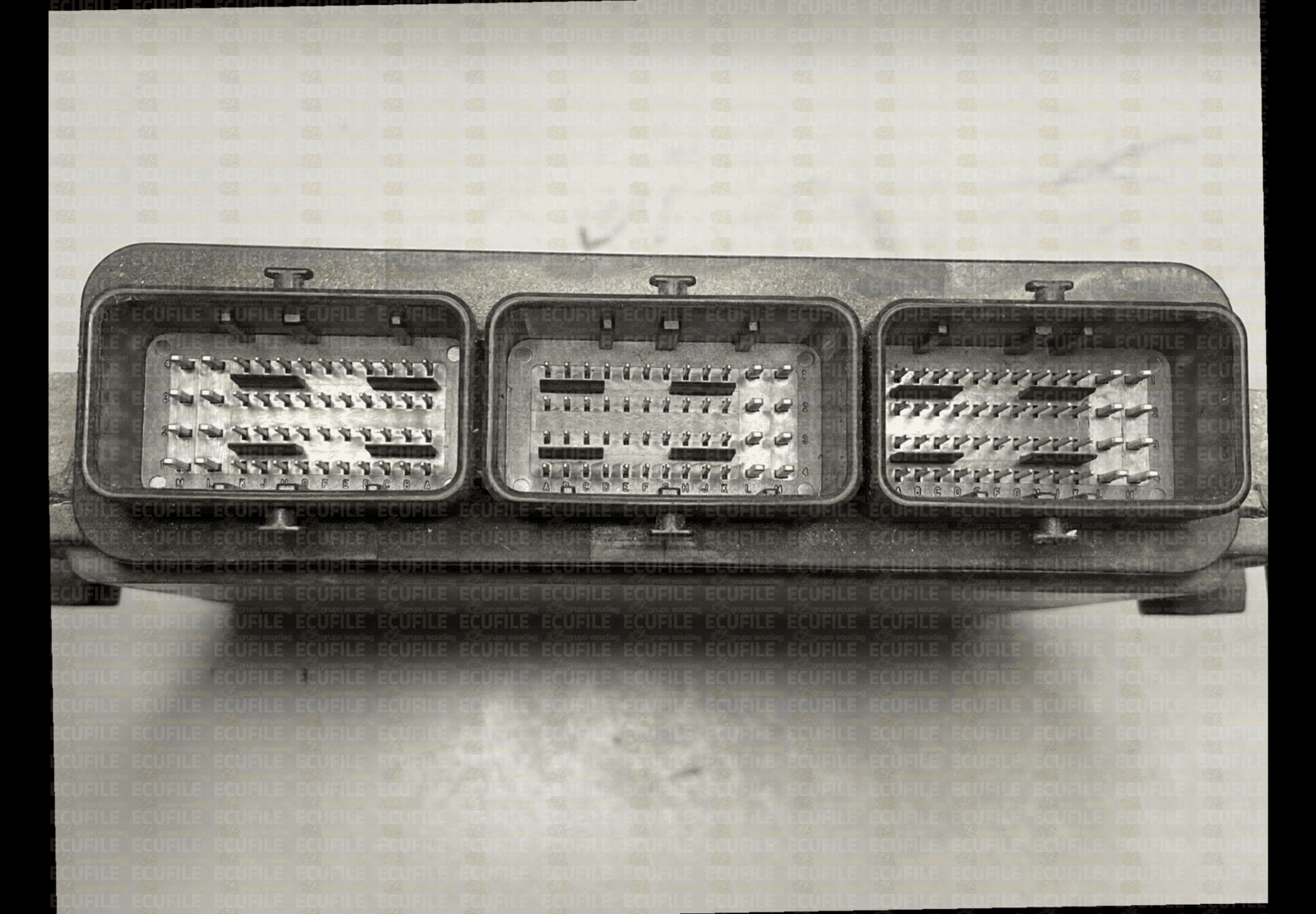 E76DBF03-F53A-41C6-AD77-D2D799FEC1E6.png