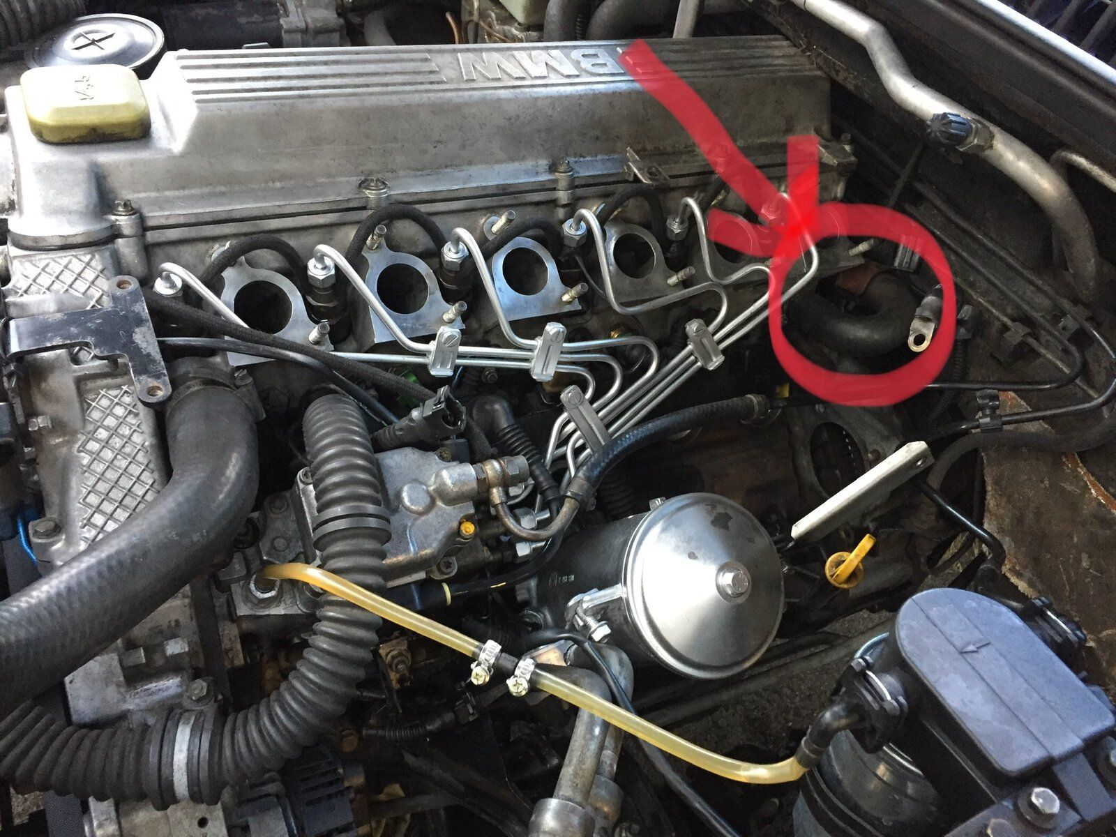 F31BB545-B703-47F0-990F-431FCA406CC5.jpeg