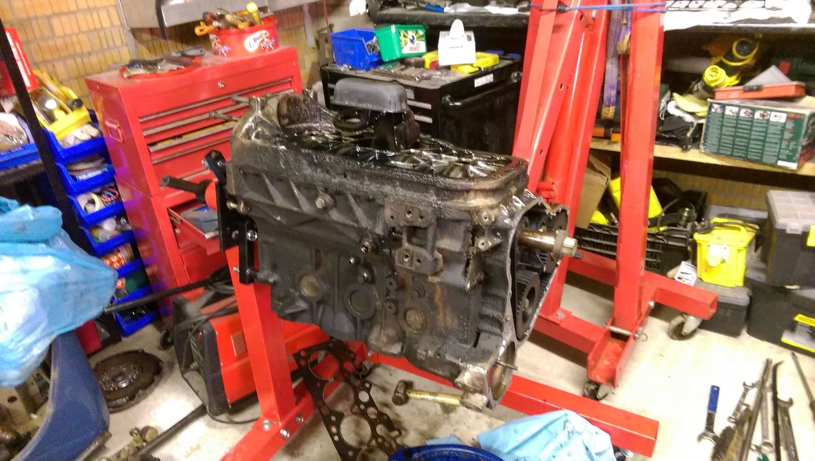 IMAG0910.jpg