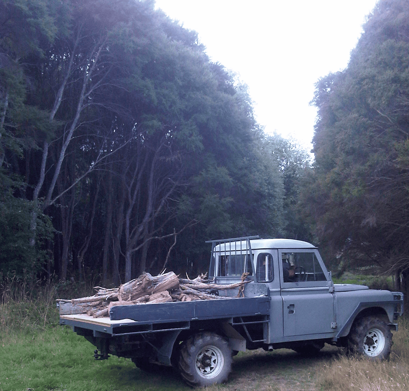 IMG-20160321-00009.png