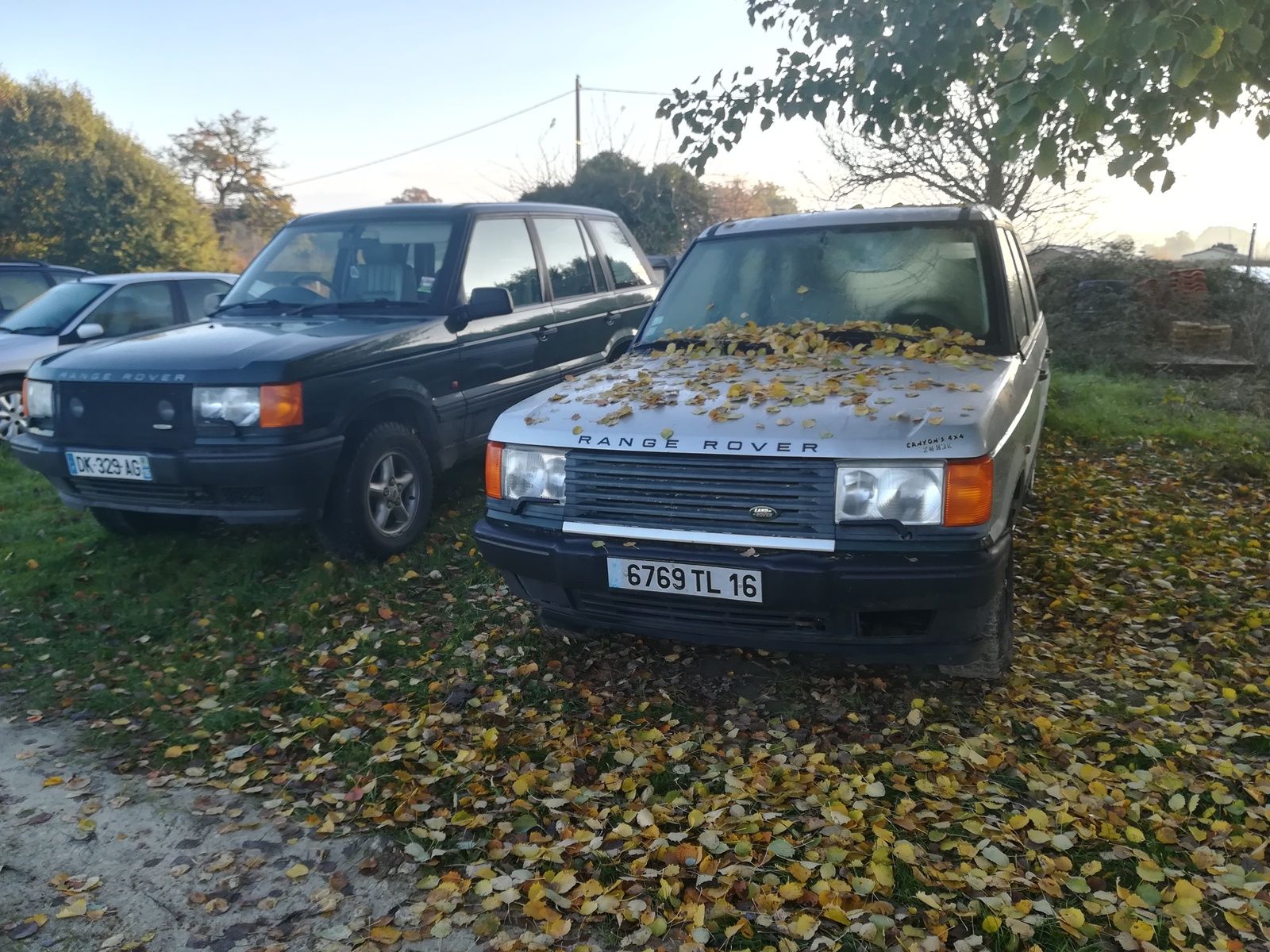 IMG_20181122_091527.jpg