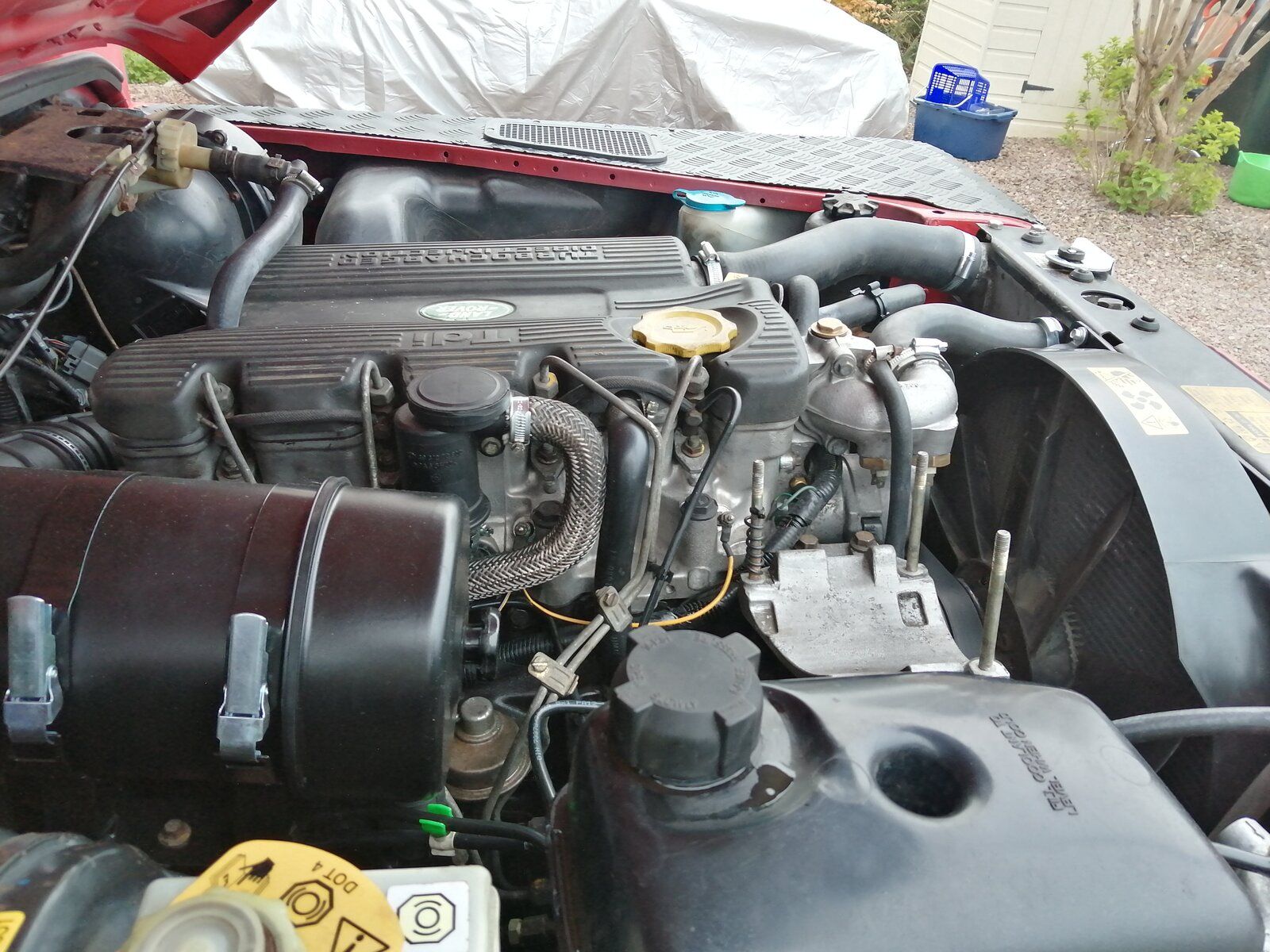 IMG_20210513_195055.jpg