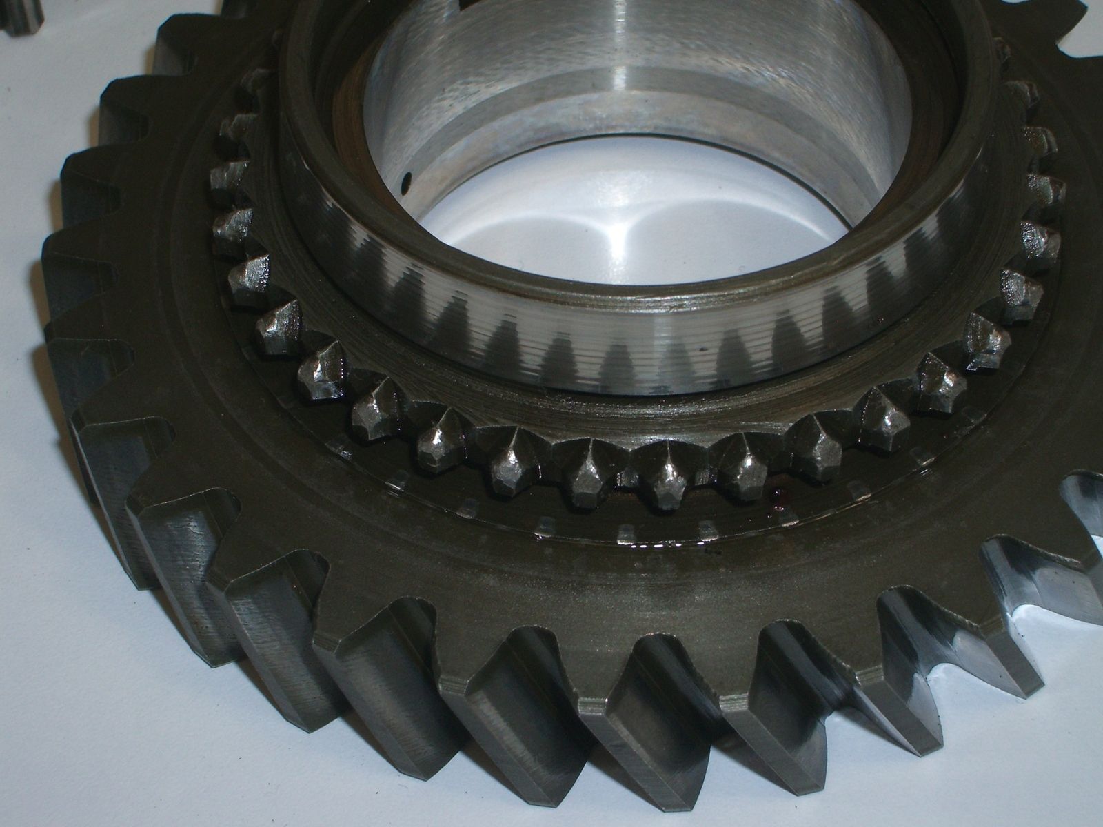 IMGP6525.JPG