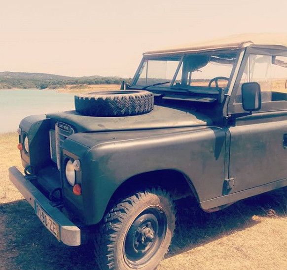 landy 4.jpg