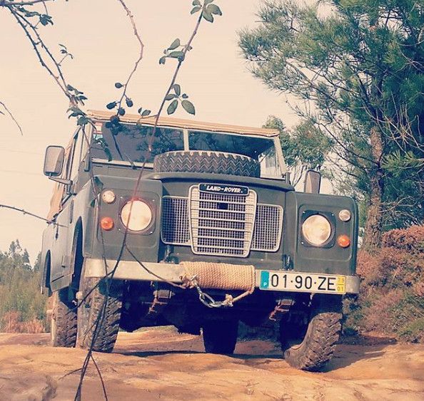 landy.jpg