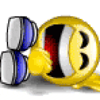 laughingsmiley.gif_c200.gif