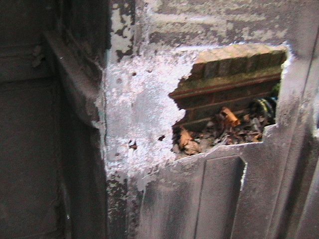 mmmuttt 096.jpg