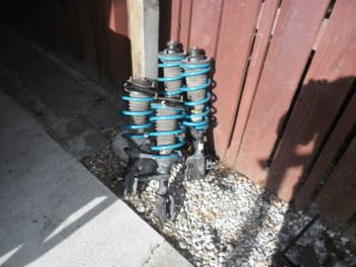 new springs.jpg