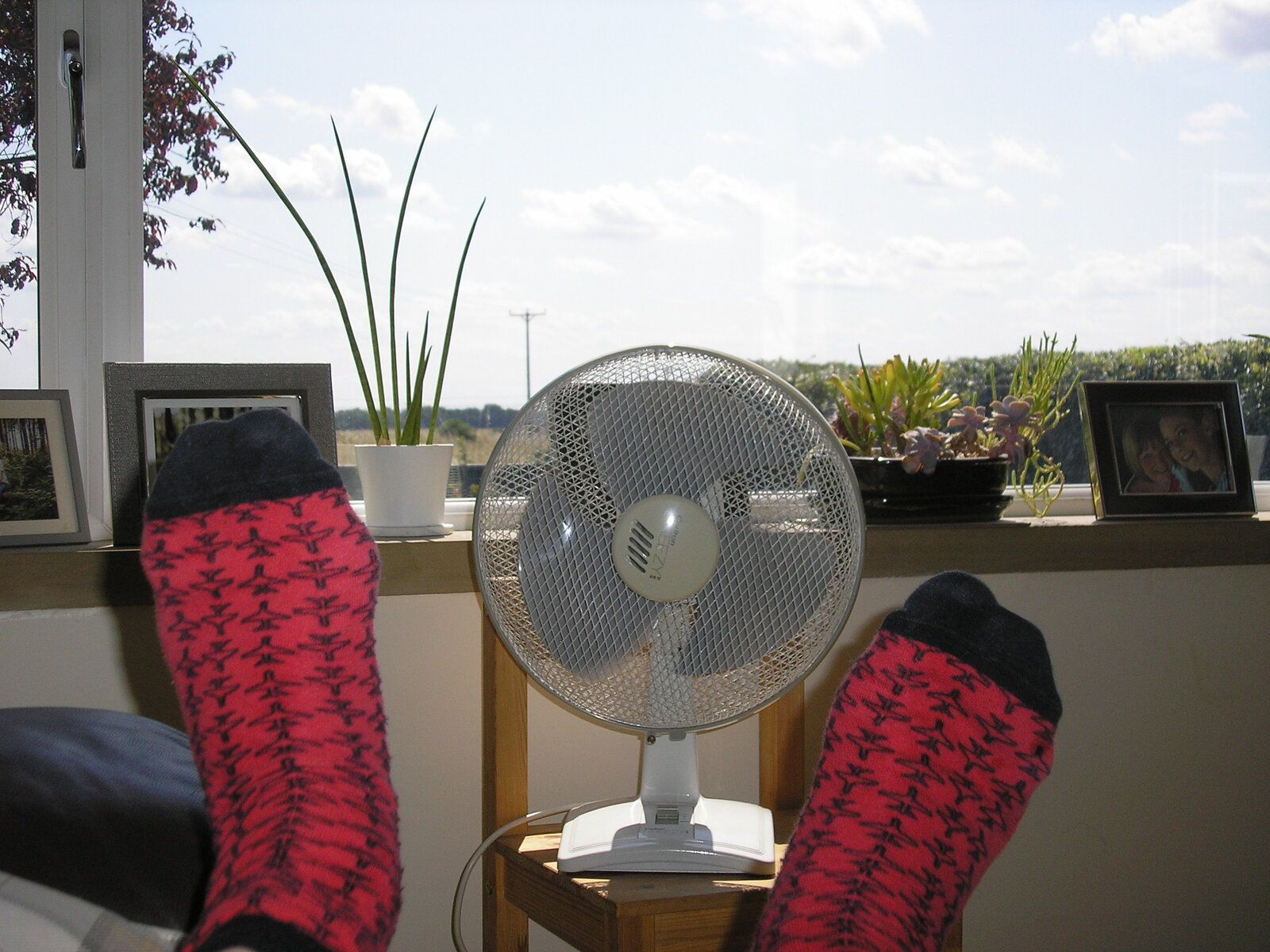 P1010053.JPG