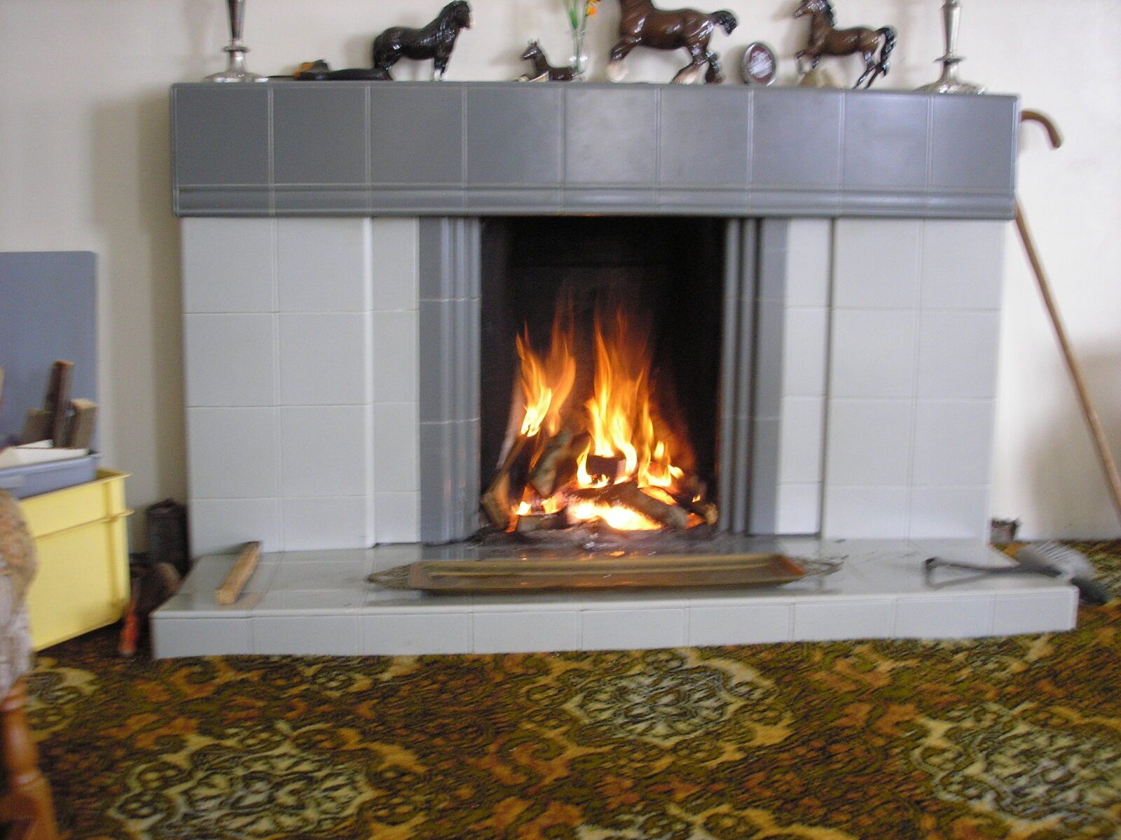 P1010195.JPG
