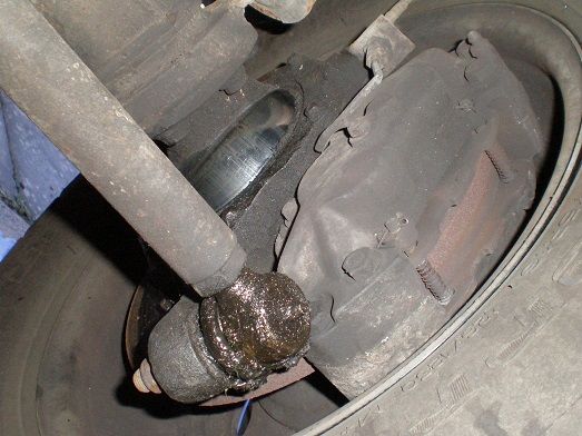 P2181807ss.jpg
