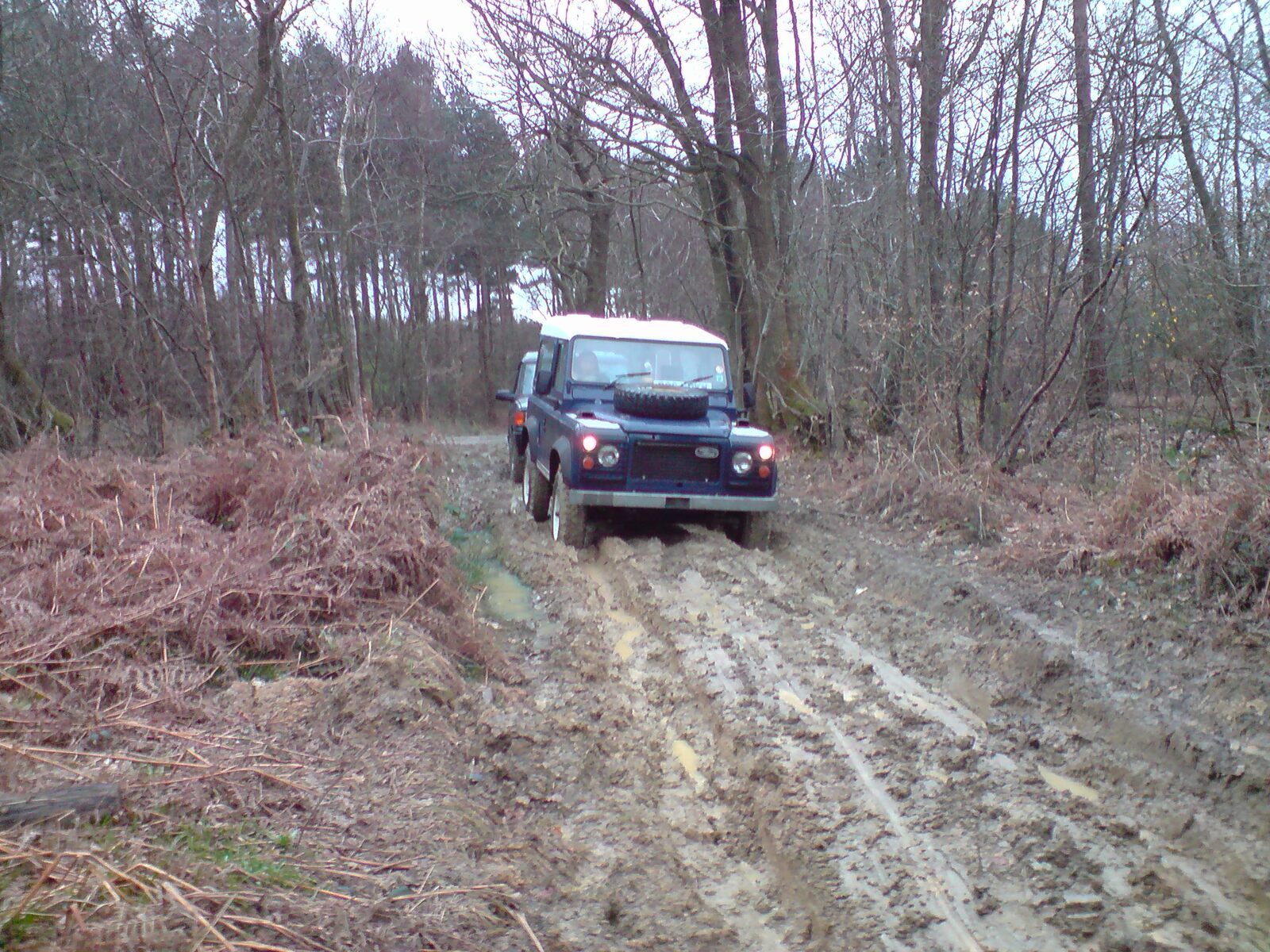 P280308_17.38[01].JPG