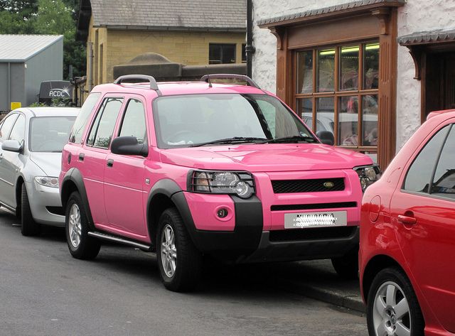 ZE meeting provençal du 21 mai 2016 Pinky-jpg